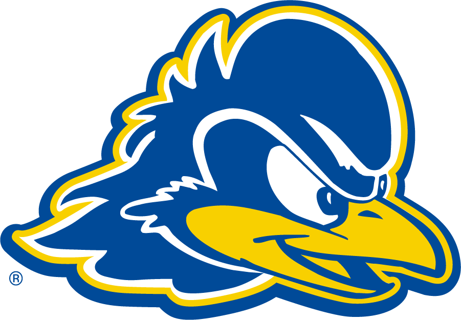 Delaware Blue Hens 2009-2018 Secondary Logo v2 diy iron on heat transfer